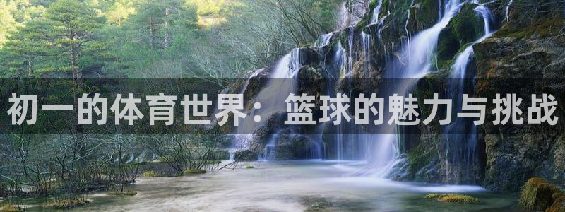 678体育官网下载