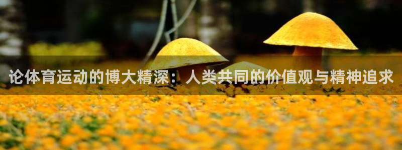 678体育官网下载