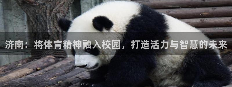 皇冠678体育