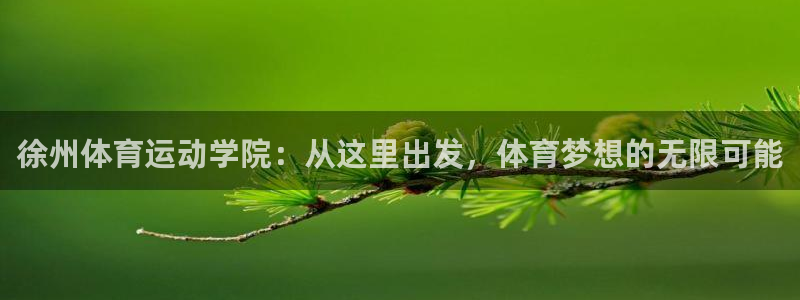 678体育app