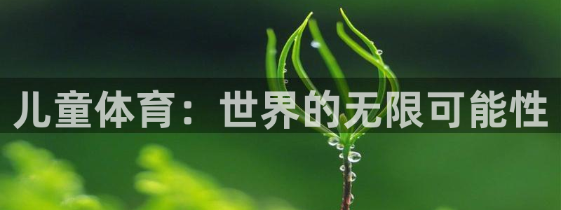678体育app