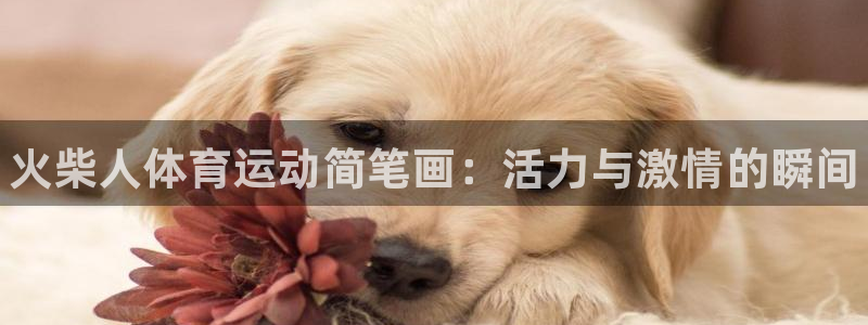 678体育官网