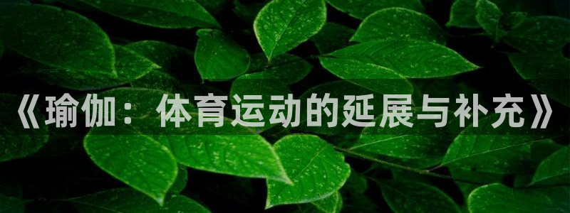 678体育官网地址