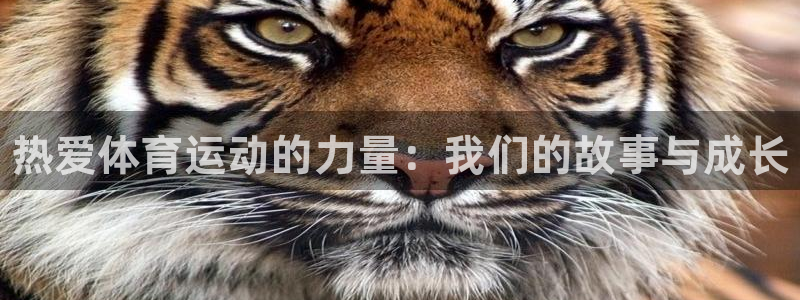 皇冠678体育