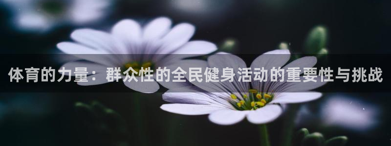 678体育