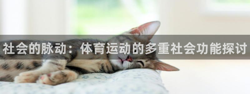 678体育app