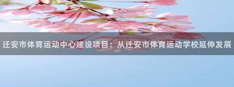 678体育官网